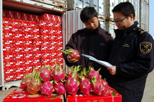 食品進口報關(guān)全流程解析 東勝物流為您梳理必備資料與注意事項